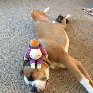 Meet your Posher, Blanche